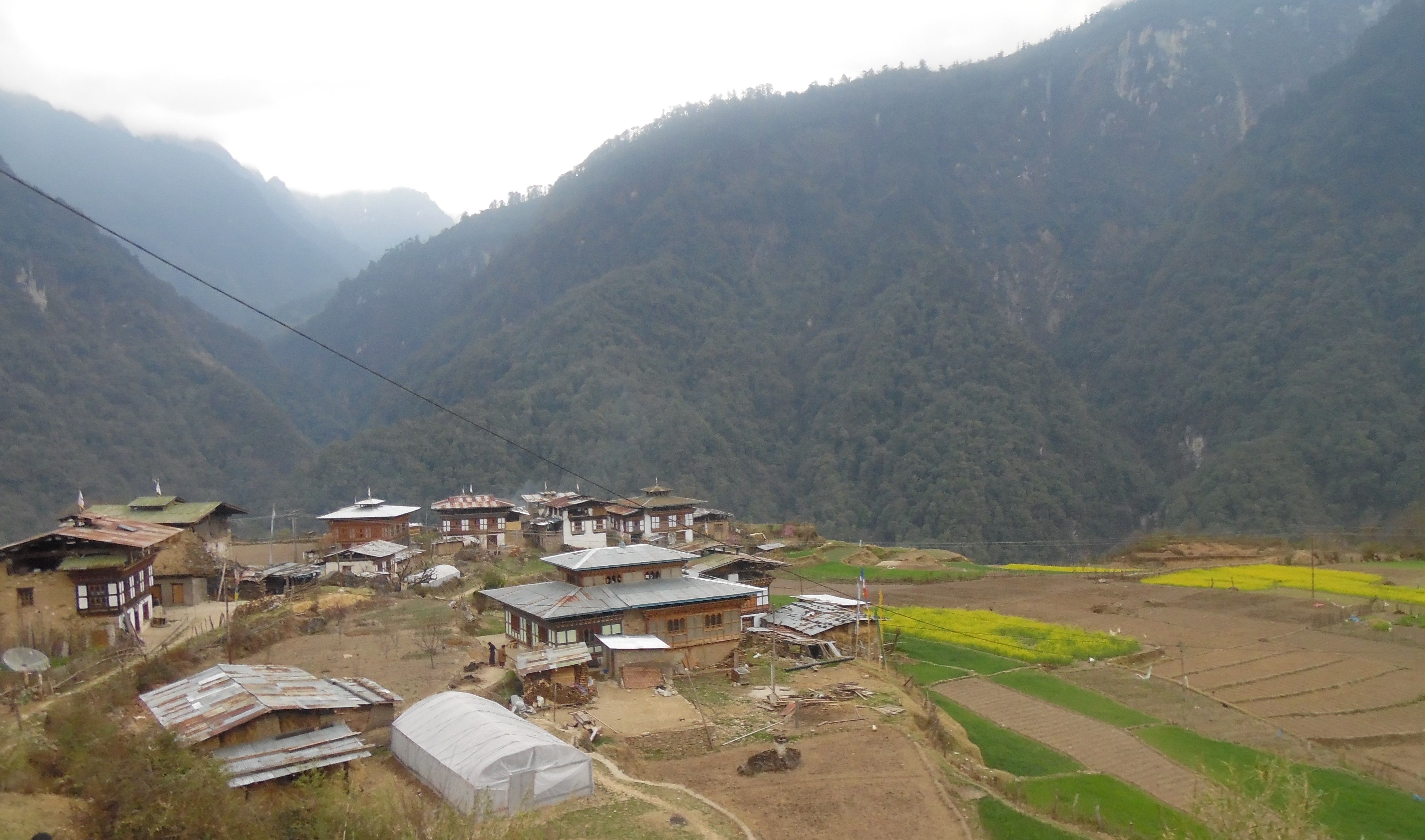 Damji village in Khamaed Gewog