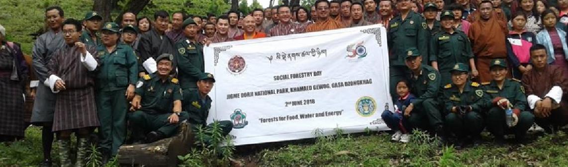 Social Forestry Day