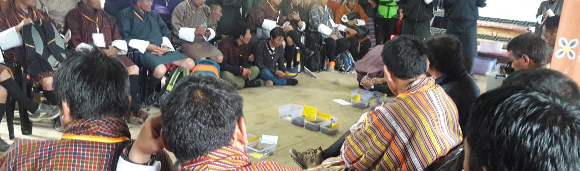 Cordyceps auction