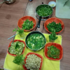 basic cooking training