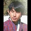 norbu gyeltshen