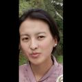 རྫོང་ཁག་ཚོགས་འདུ་དྲུང་ཆེན།